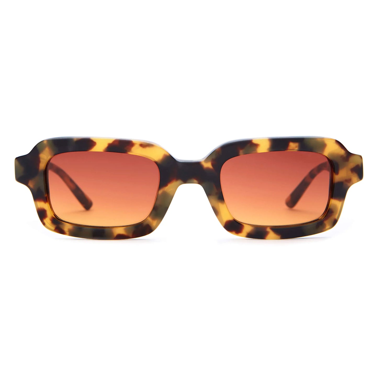 Leopard Tortoise / Rosewood Sunset