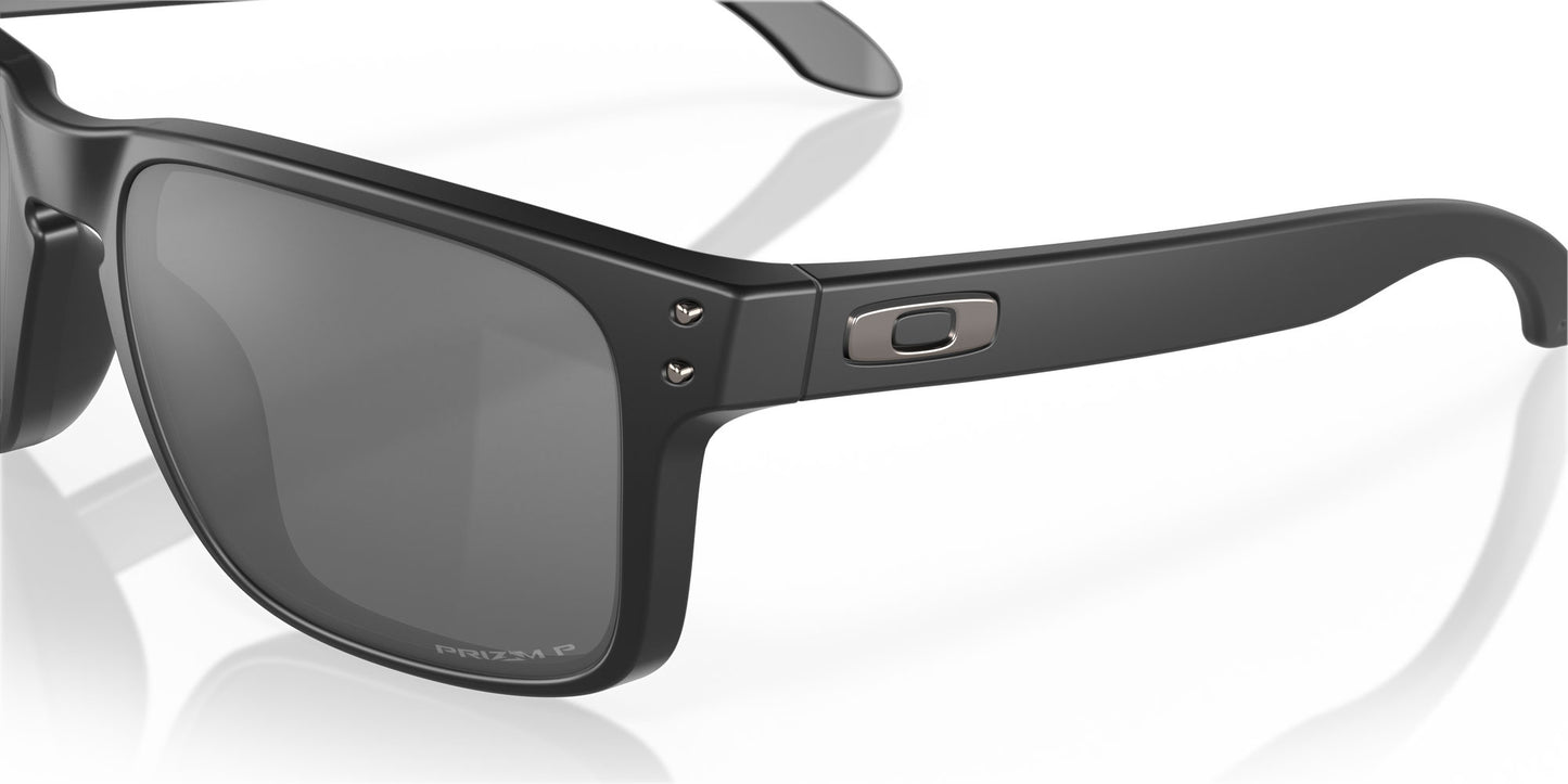 Matte Black / Prizm Black Polarised